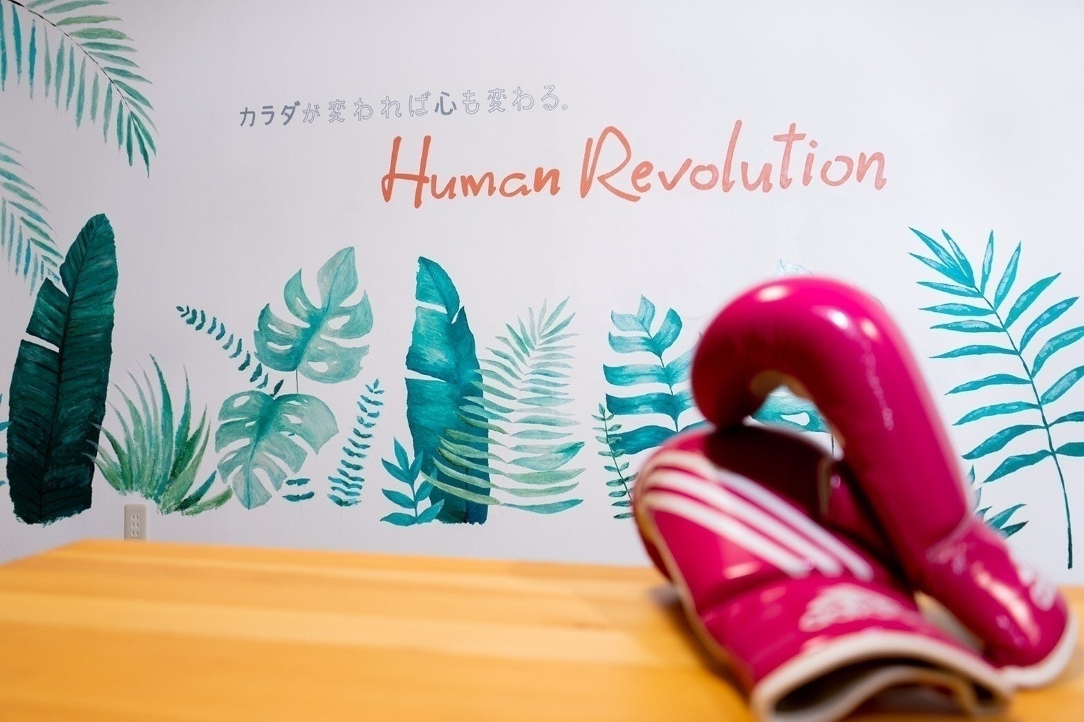 3番目のメイン画像