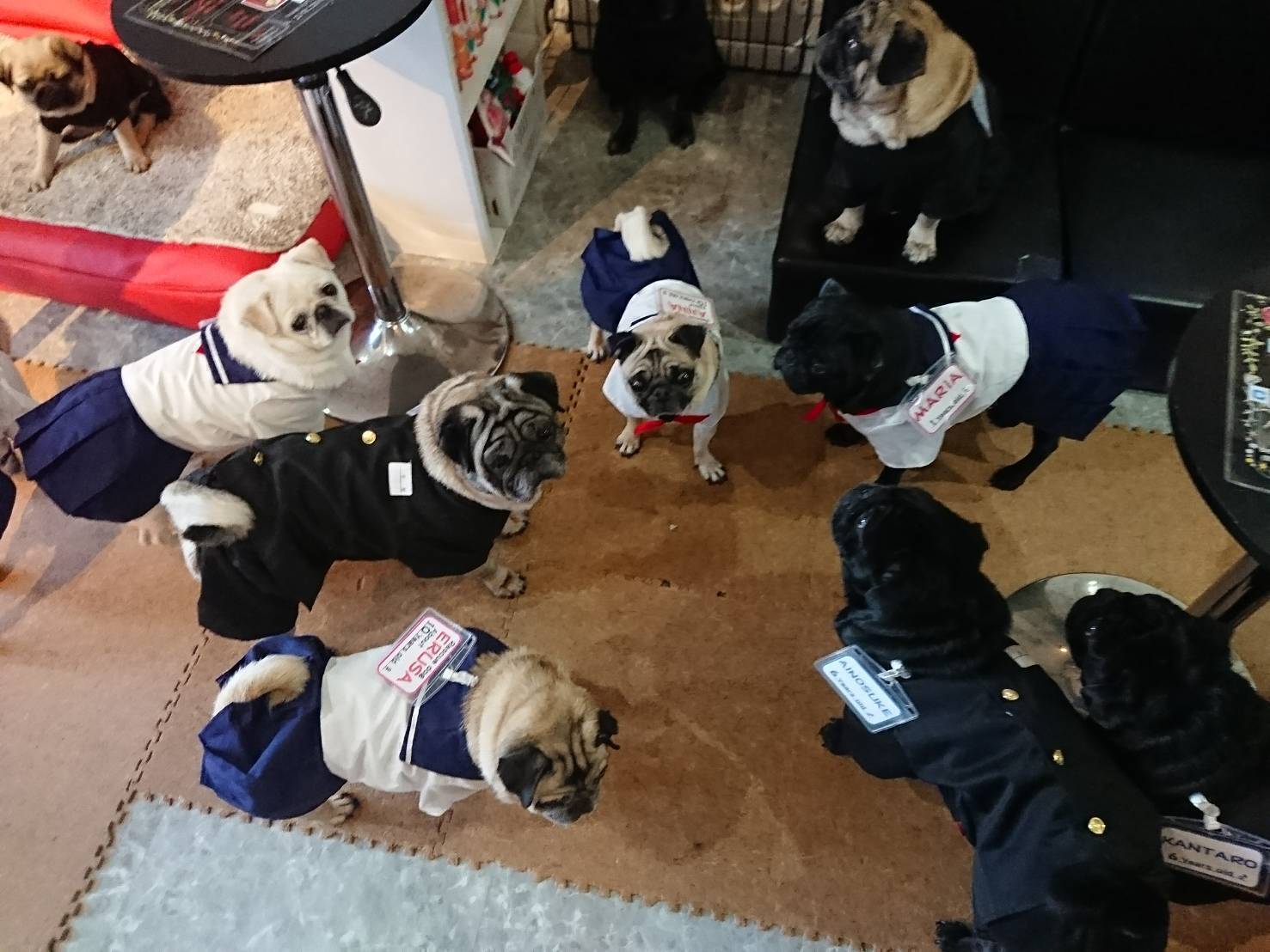 4番目のメイン画像