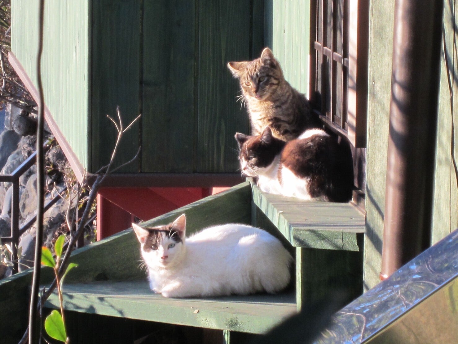 3番目のメイン画像