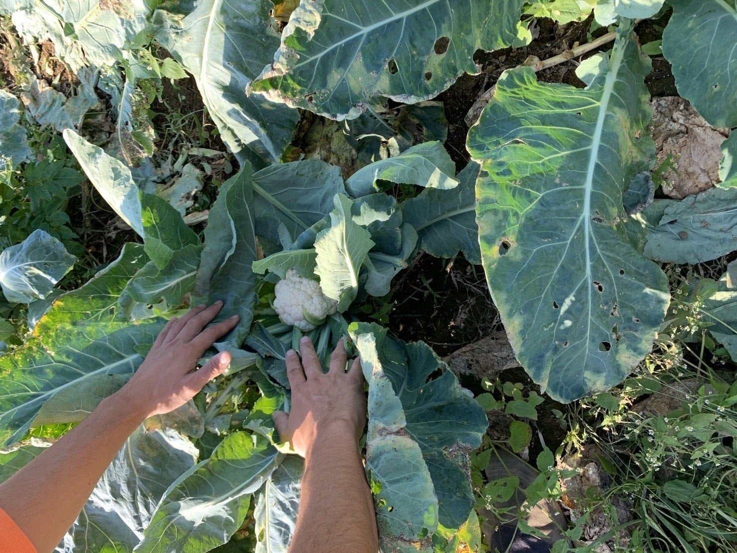 3番目のメイン画像