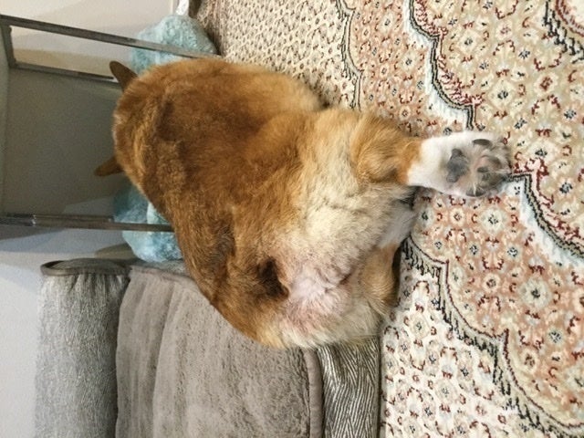 5番目のメイン画像