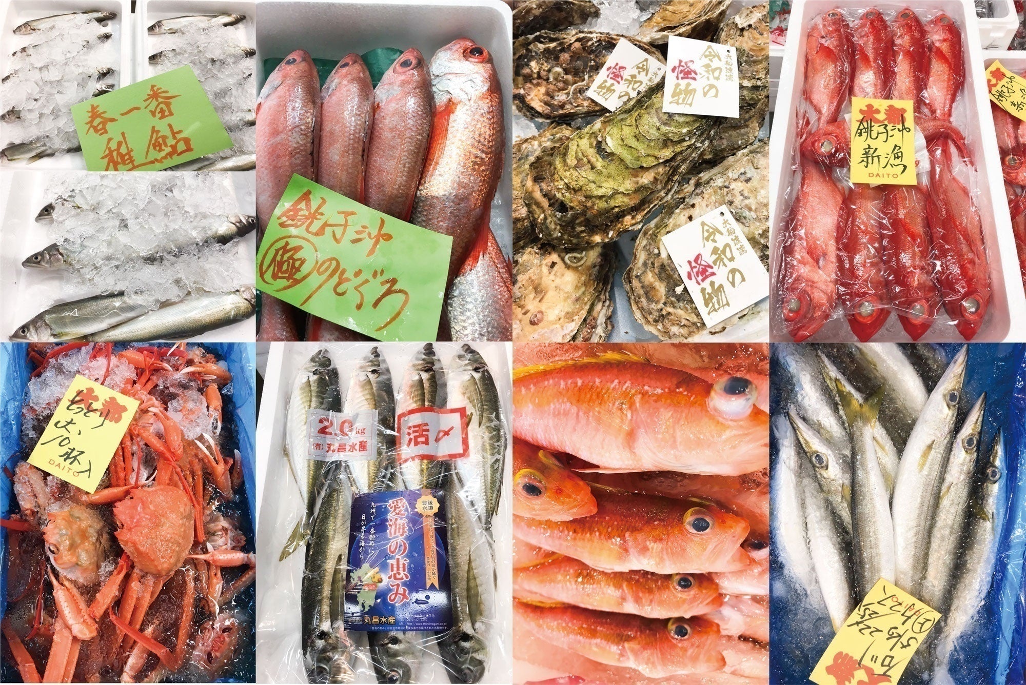 5番目のメイン画像