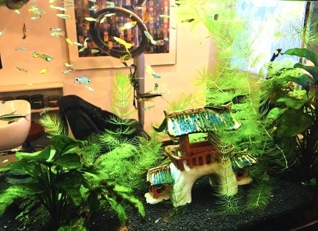 3番目のメイン画像