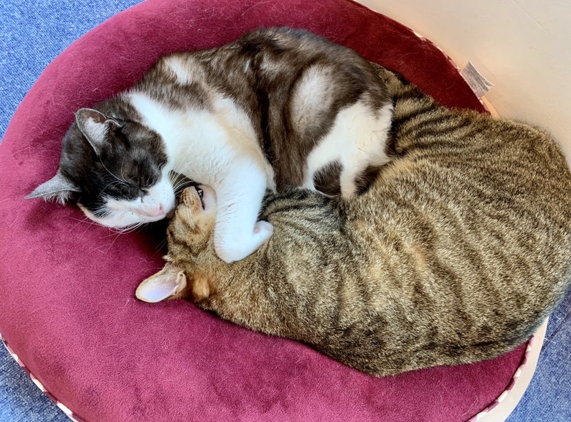 5番目のメイン画像