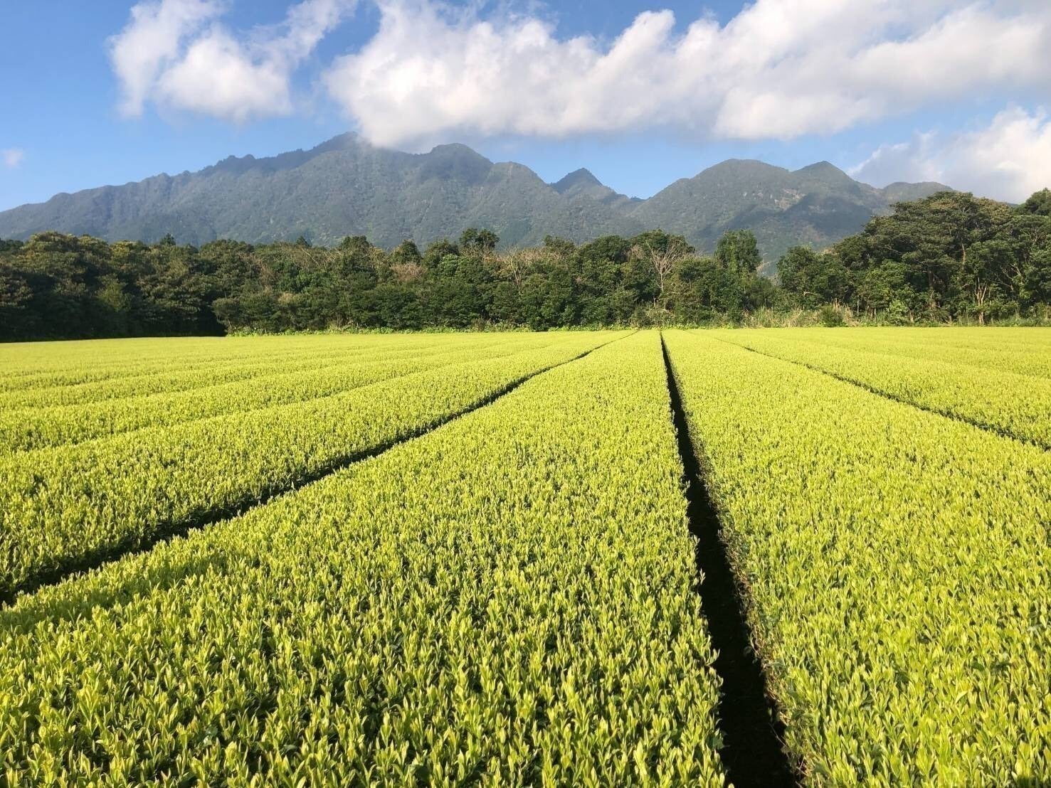 2番目のメイン画像