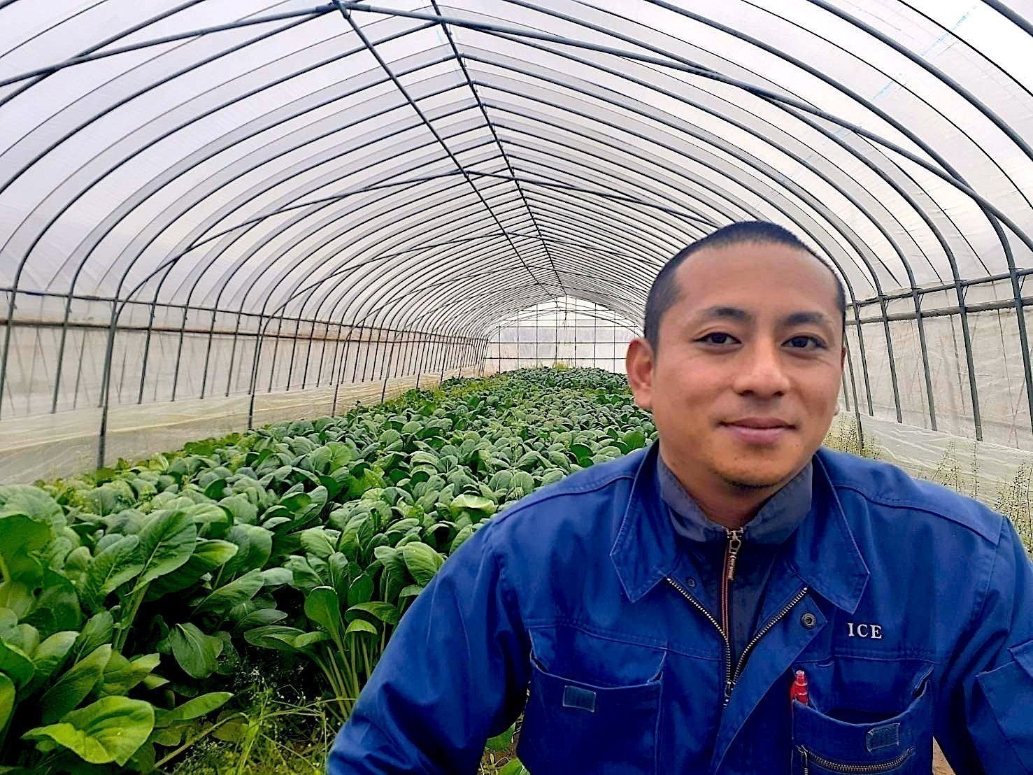 4番目のメイン画像