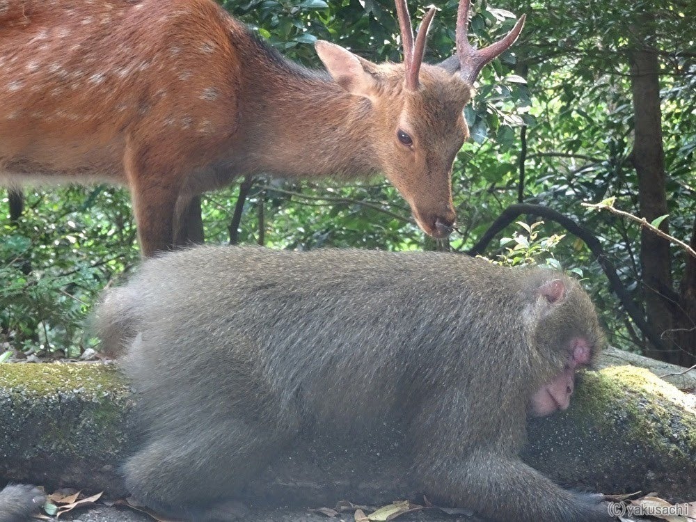 5番目のメイン画像