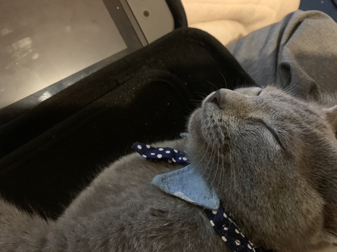 5番目のメイン画像