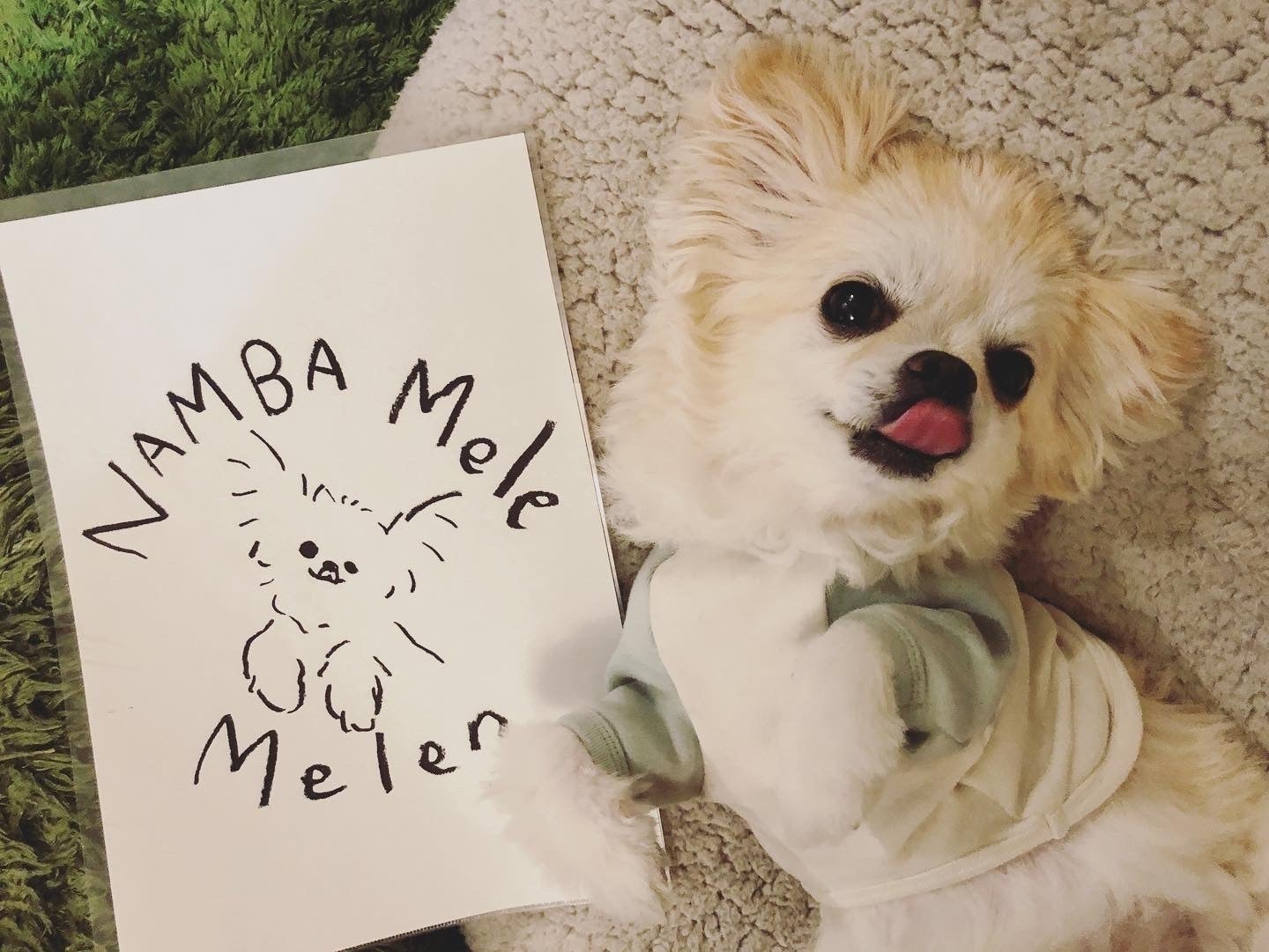 4番目のメイン画像