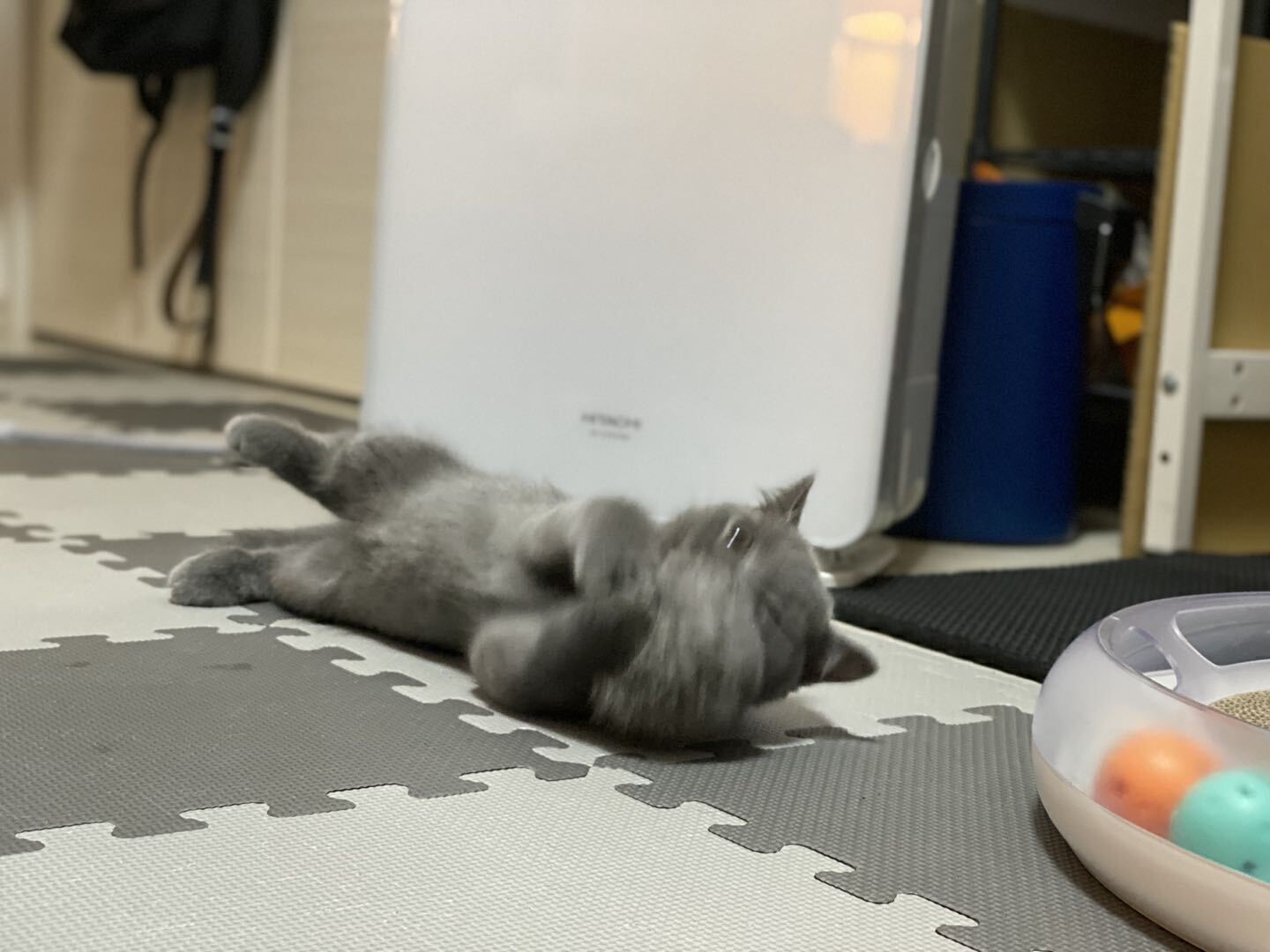 4番目のメイン画像