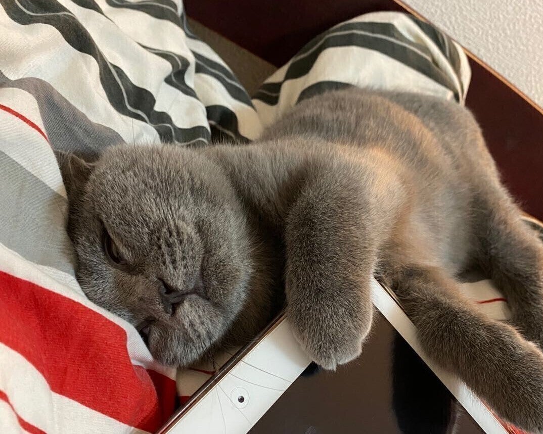 5番目のメイン画像