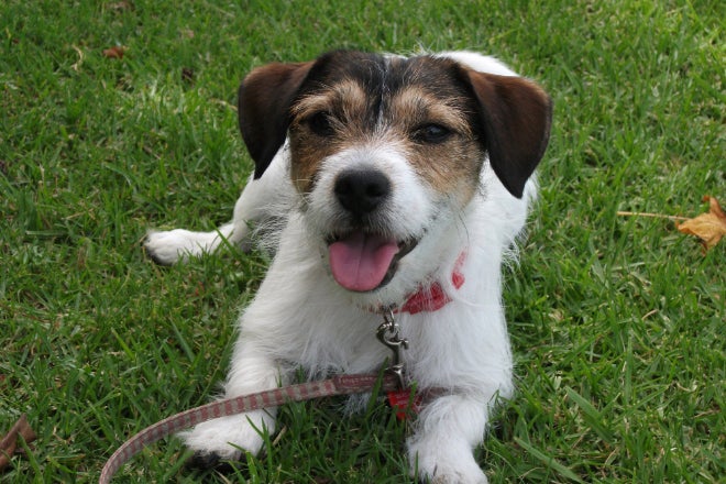 1番目のメイン画像