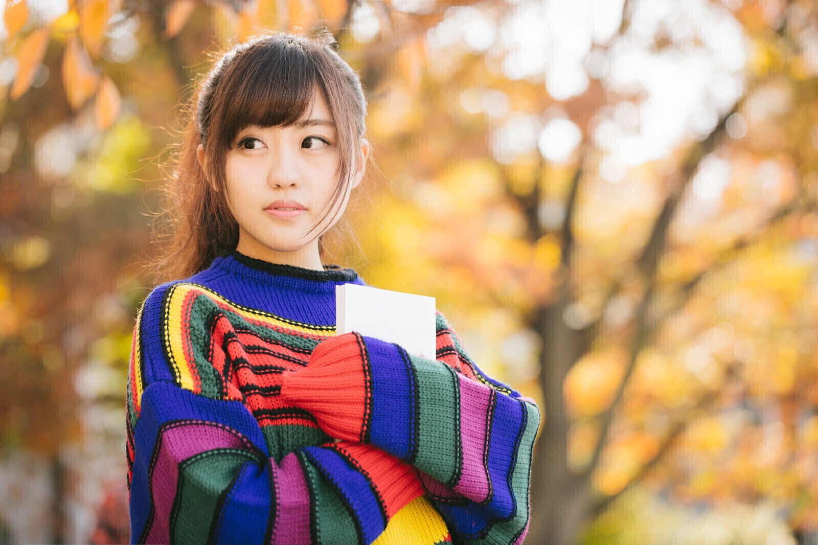 3番目のメイン画像