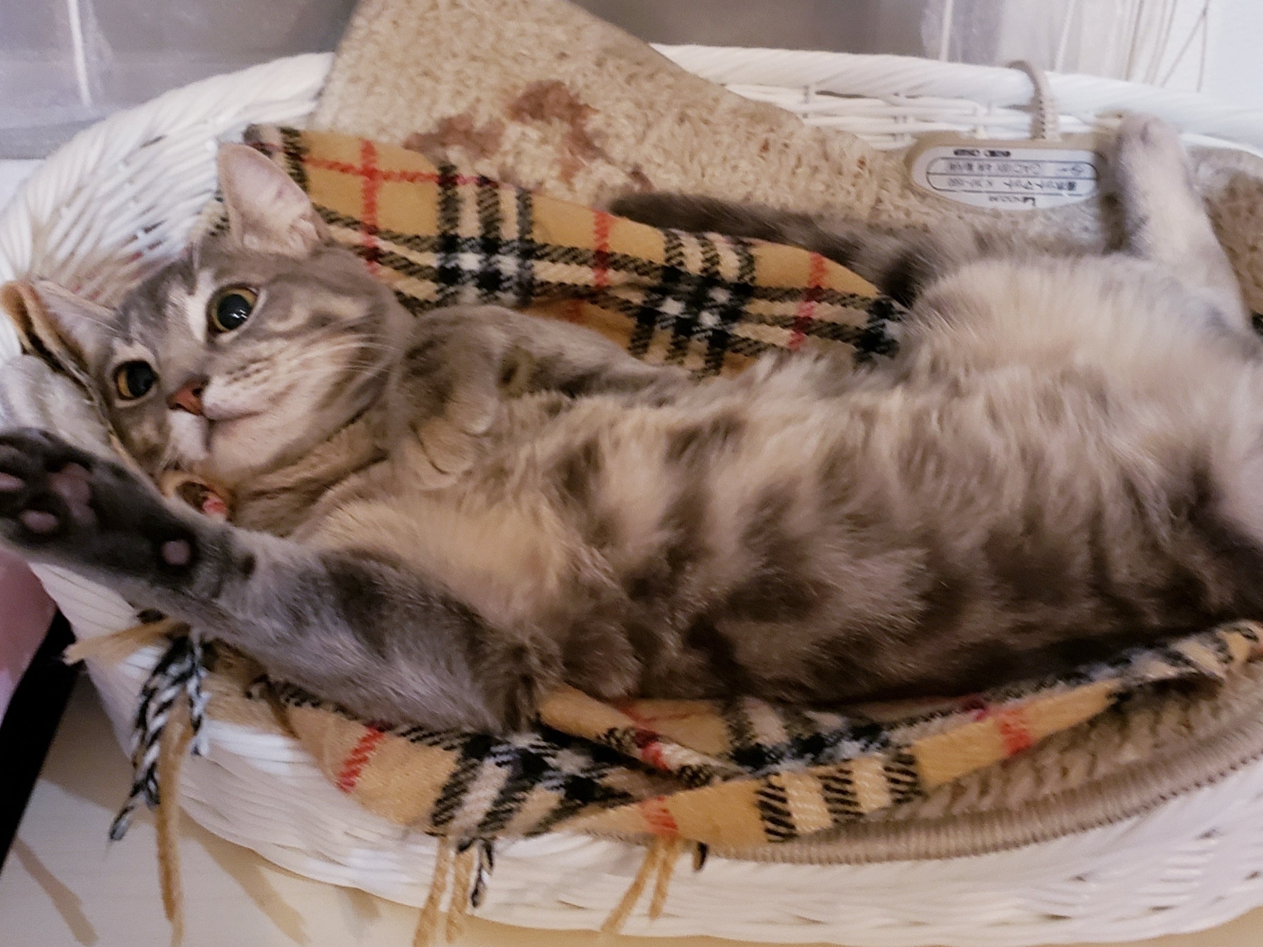 5番目のメイン画像