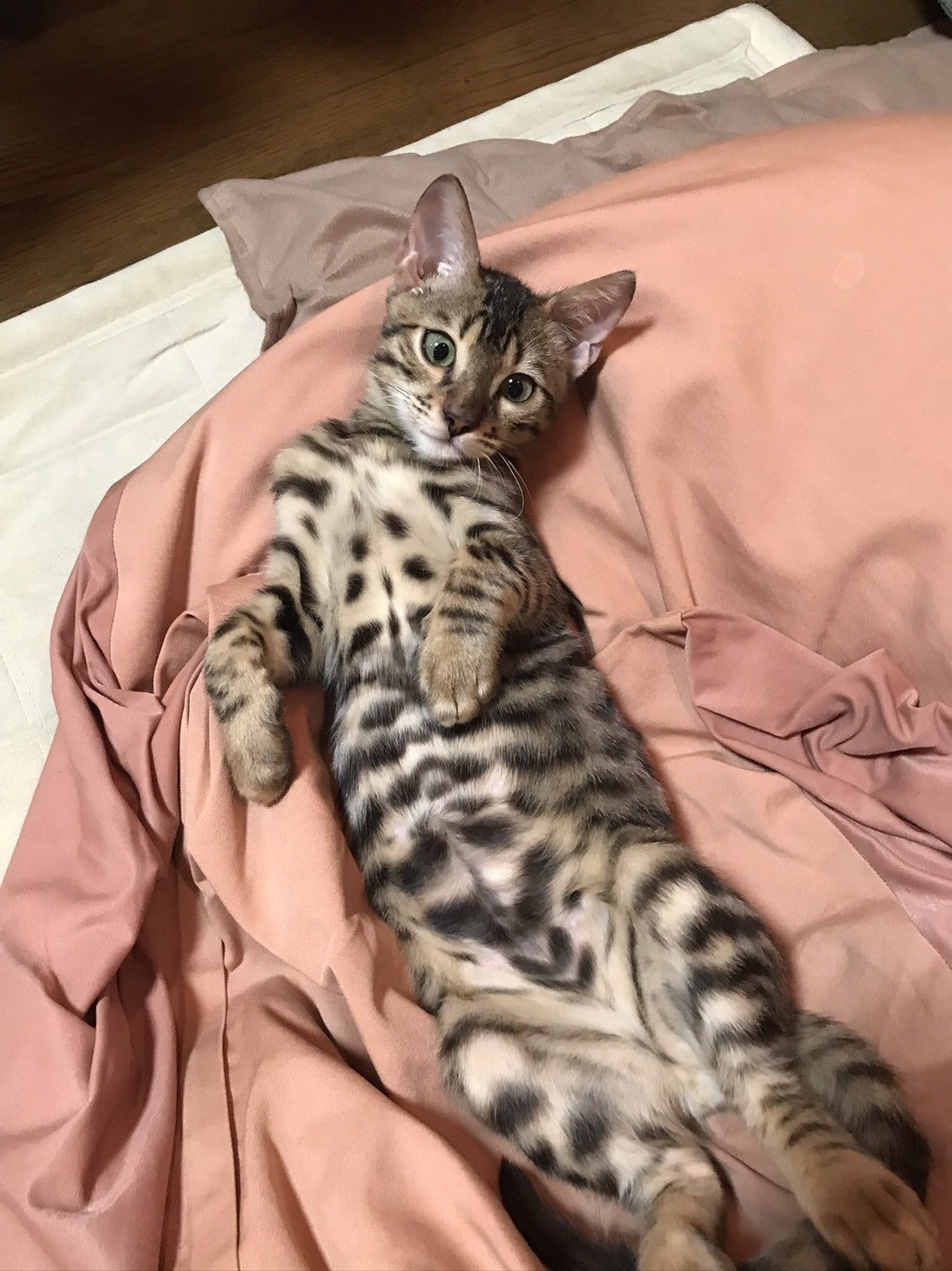 4番目のメイン画像