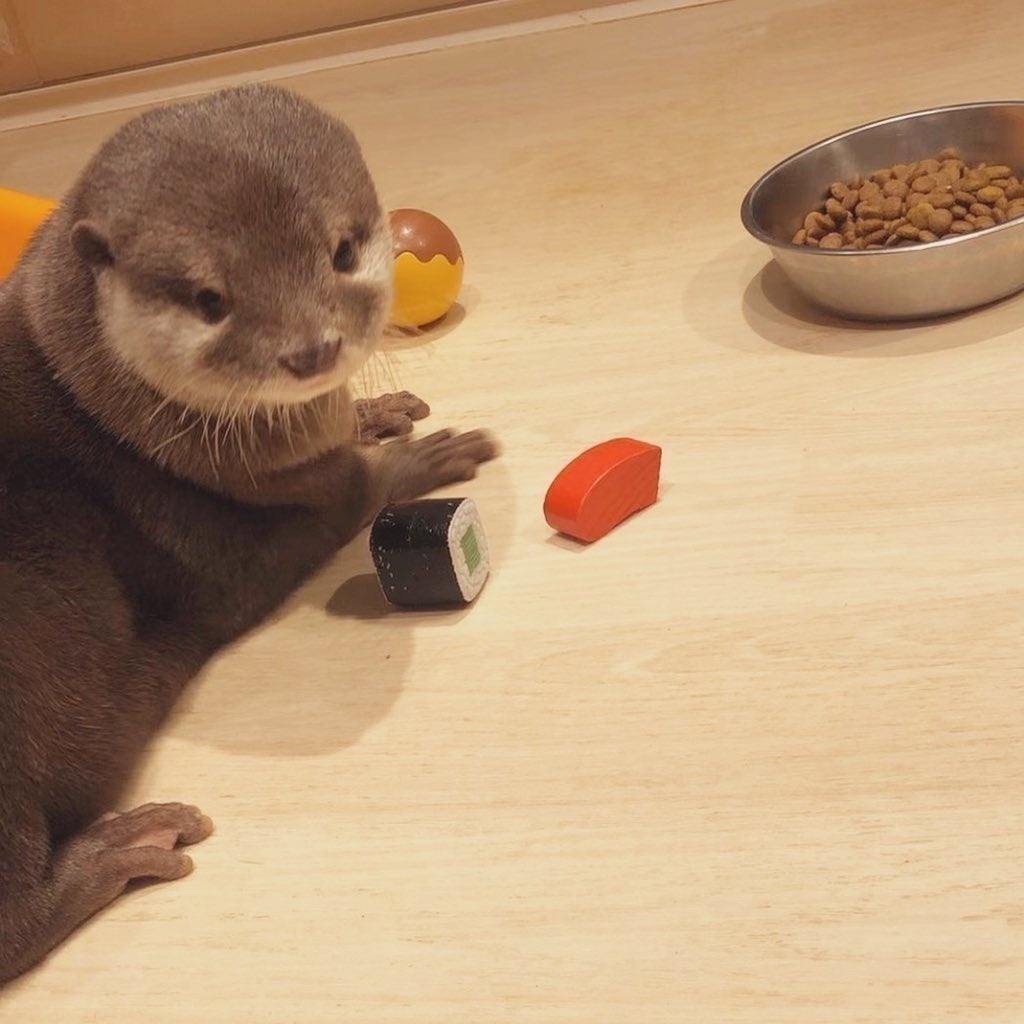 5番目のメイン画像