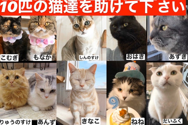 1番目のメイン画像