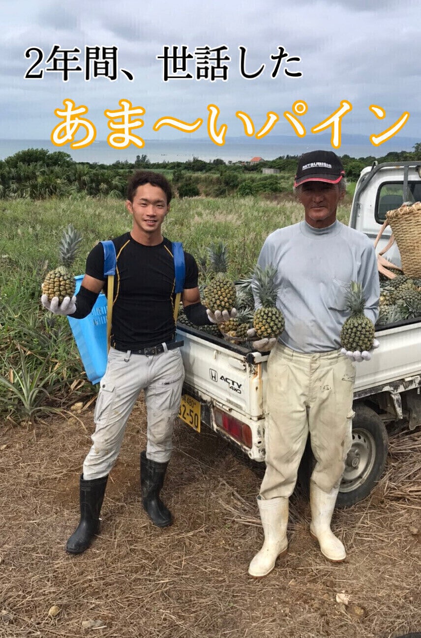 3番目のメイン画像