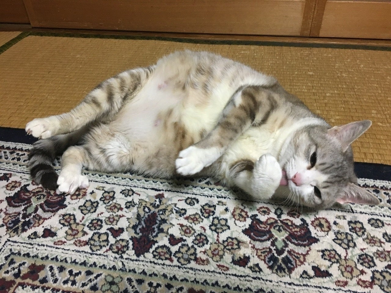 4番目のメイン画像