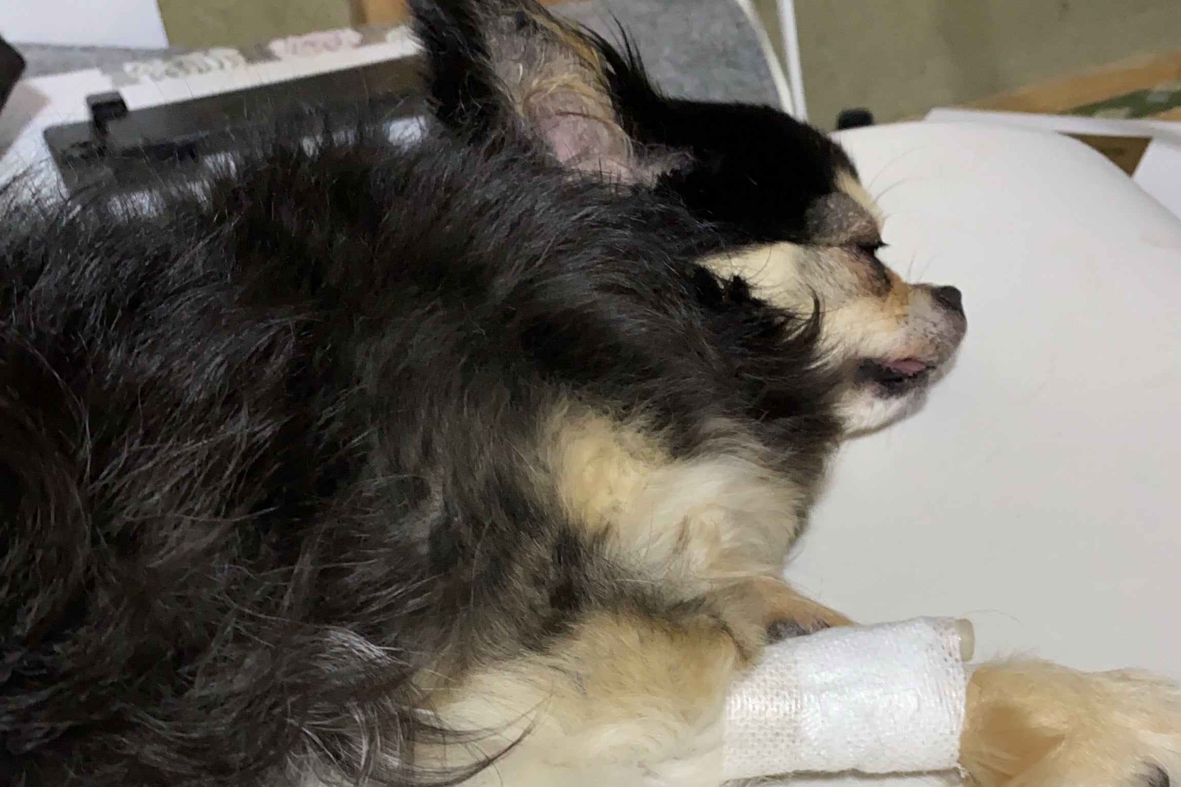 4番目のメイン画像