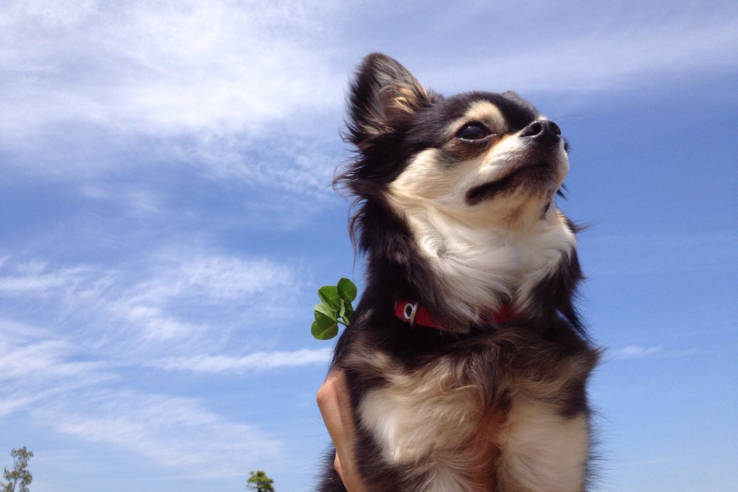 1番目のメイン画像