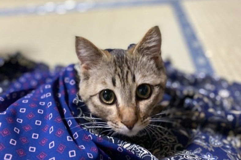 1番目のメイン画像