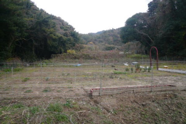 1番目のメイン画像