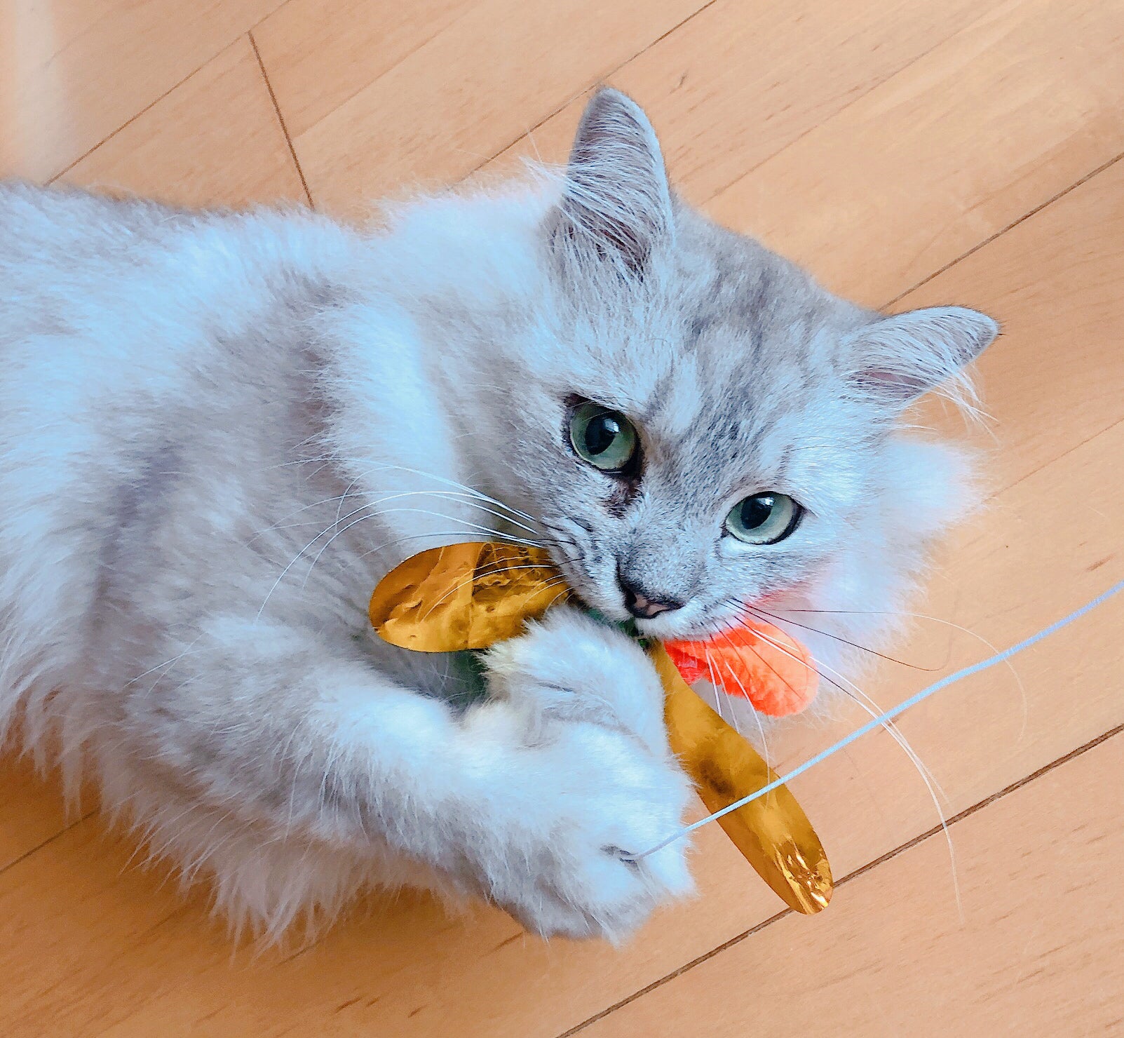 3番目のメイン画像