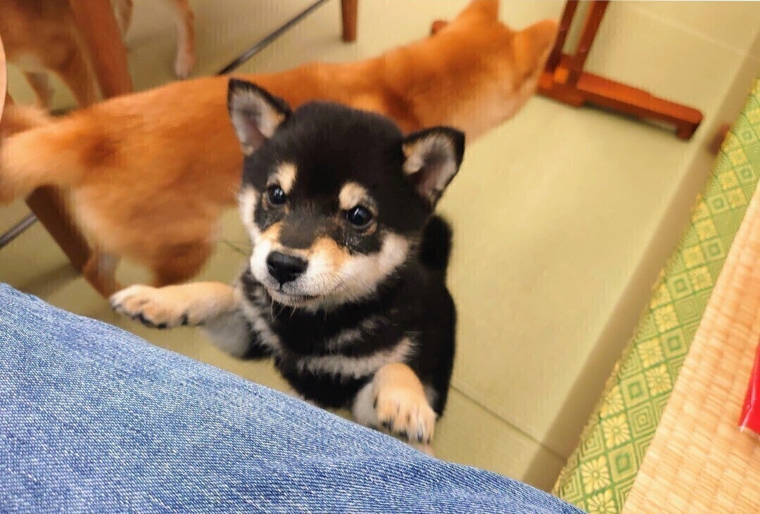 5番目のメイン画像