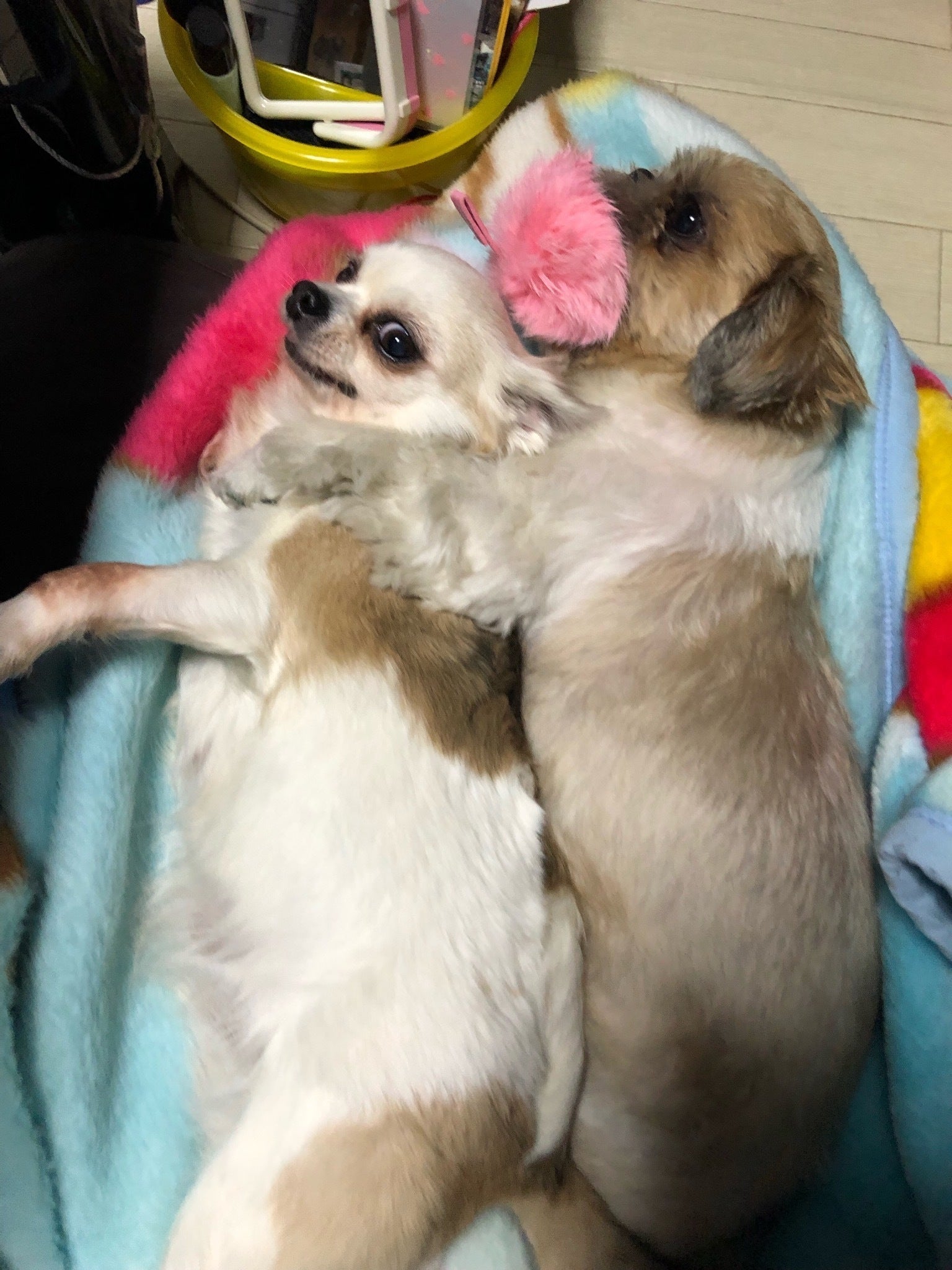 5番目のメイン画像