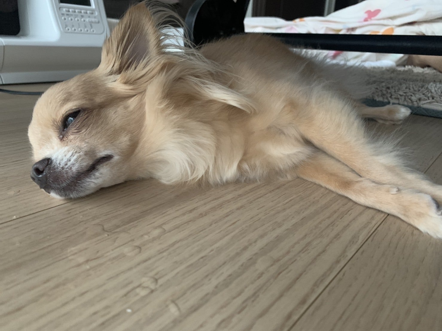 2番目のメイン画像