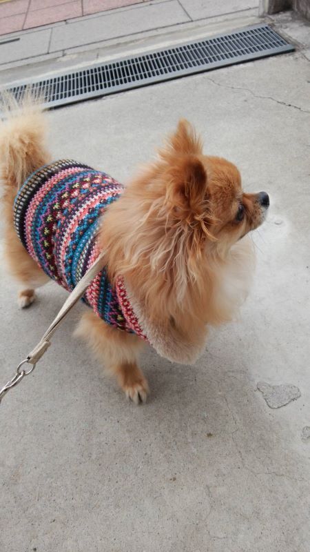 5番目のメイン画像