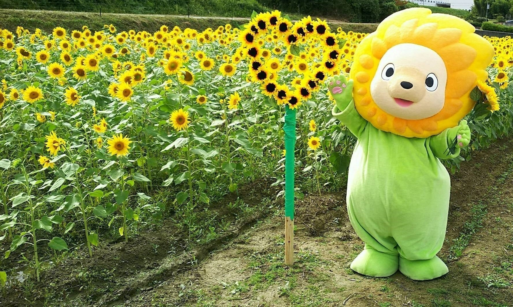 3番目のメイン画像