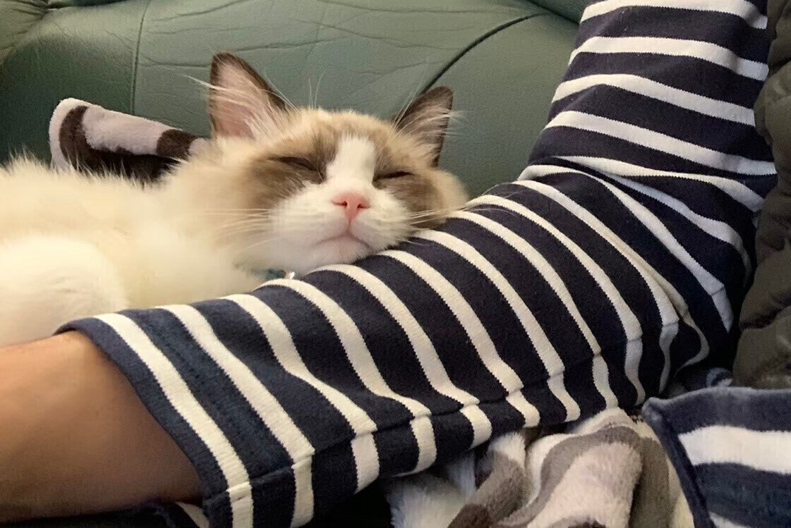 4番目のメイン画像