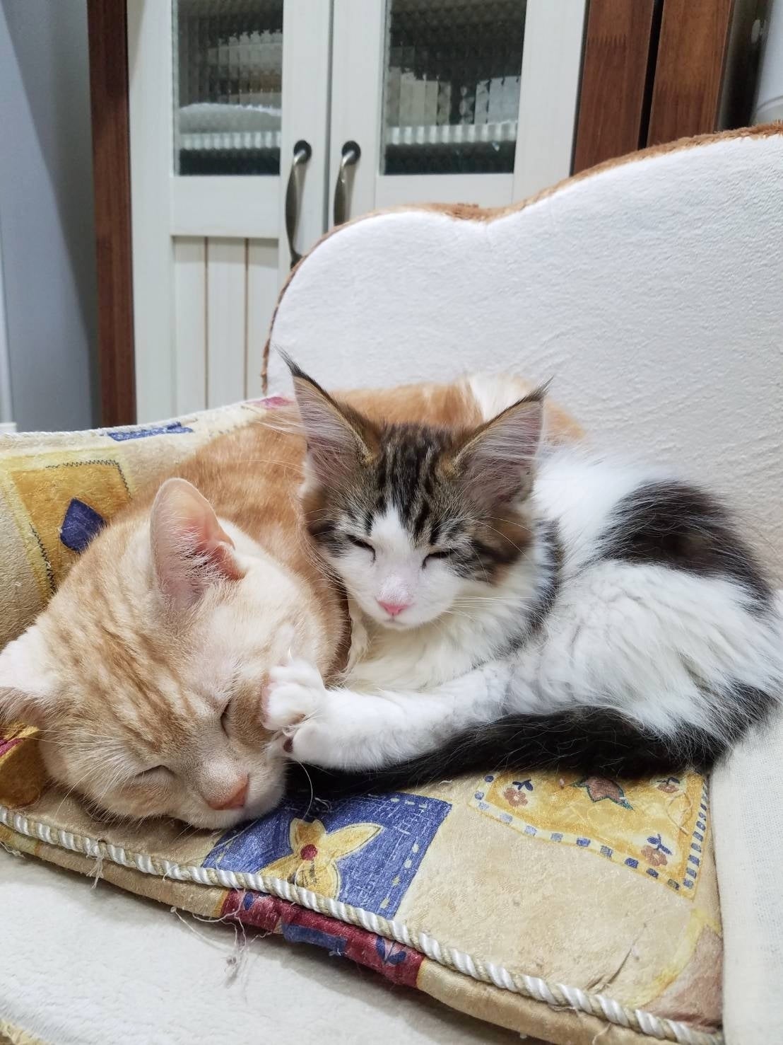 5番目のメイン画像