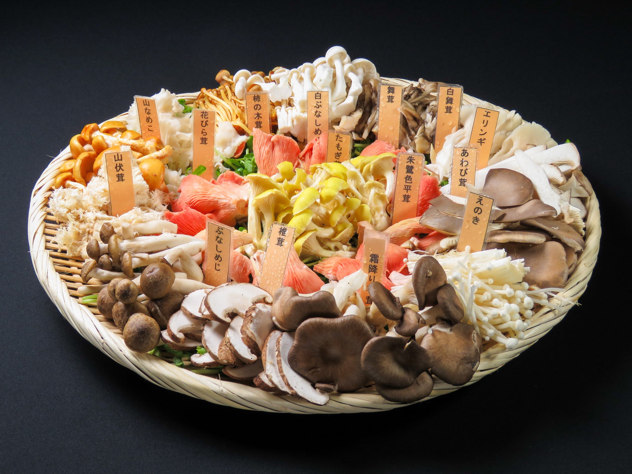 5番目のメイン画像