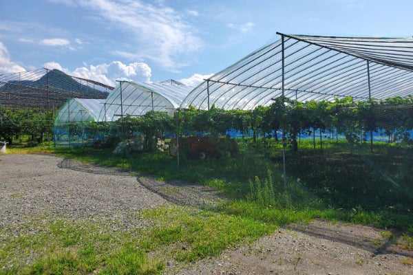 1番目のメイン画像