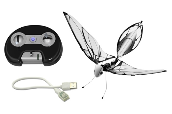 5番目のメイン画像