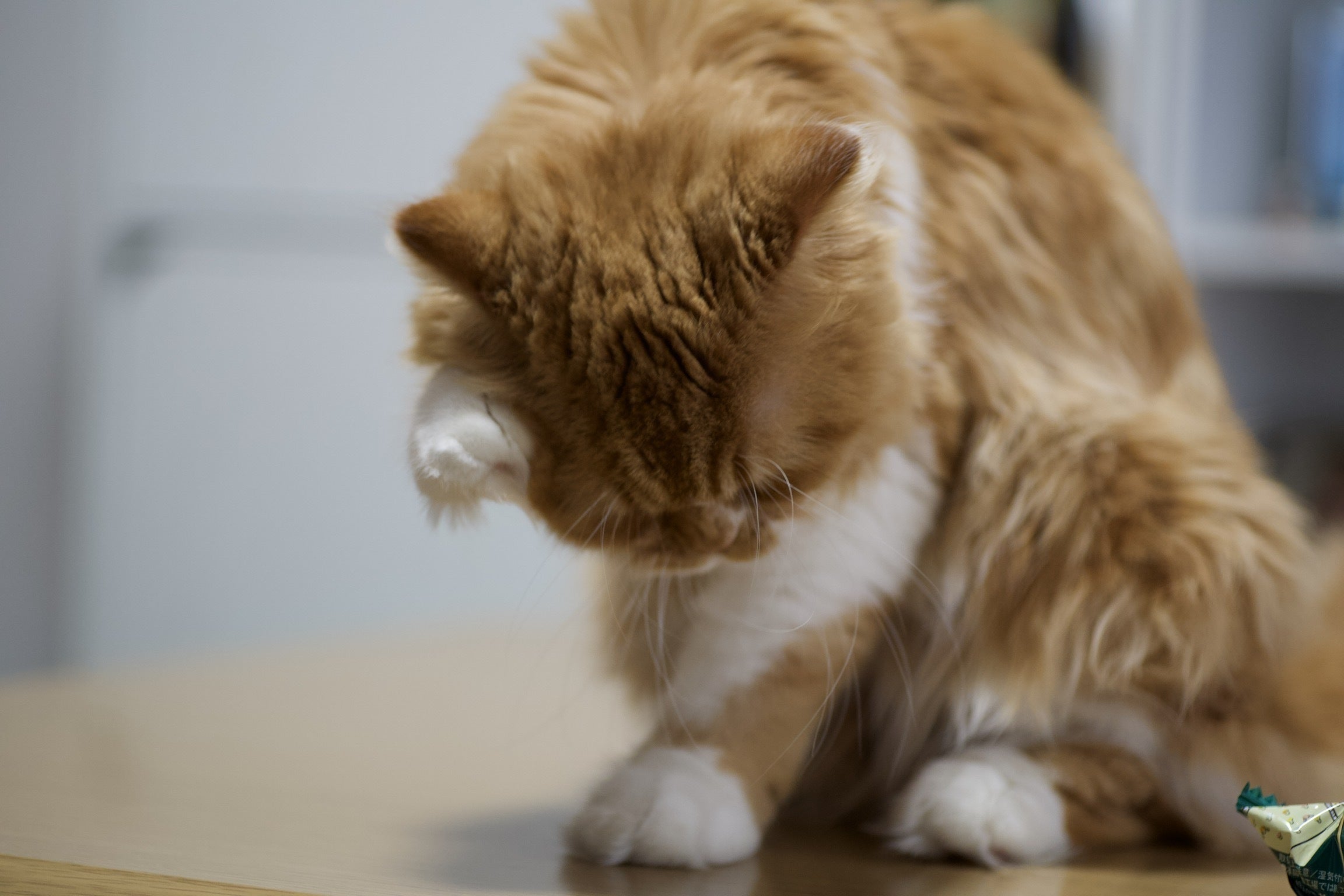 3番目のメイン画像