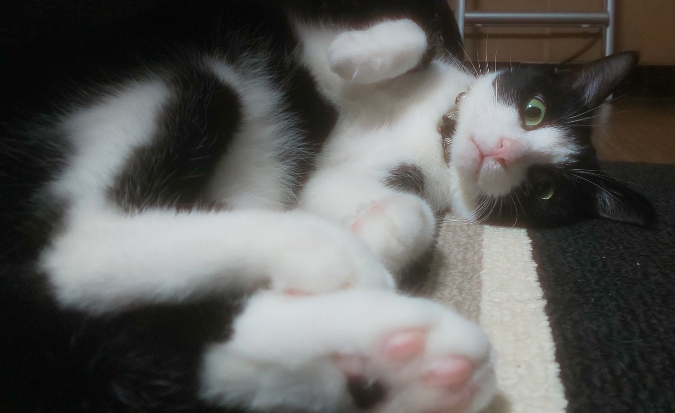 2番目のメイン画像