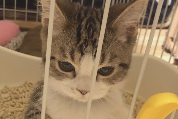 1番目のメイン画像