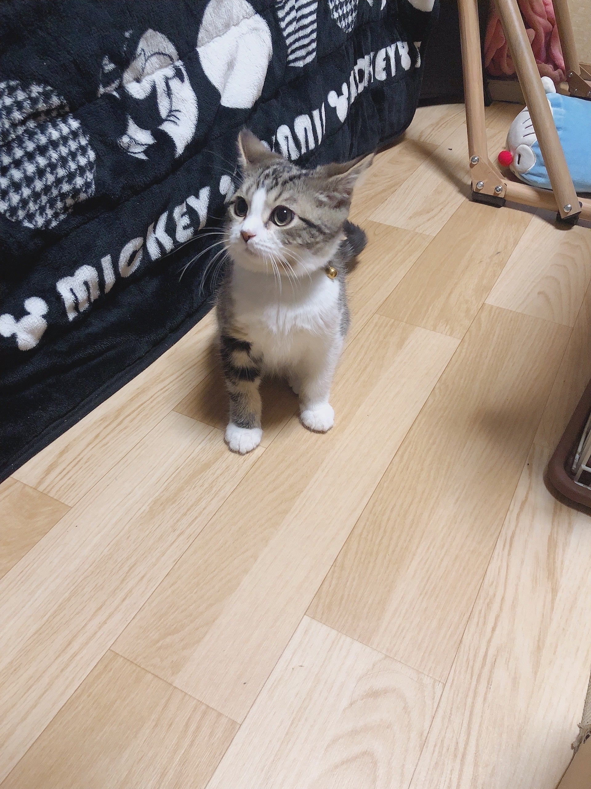 3番目のメイン画像