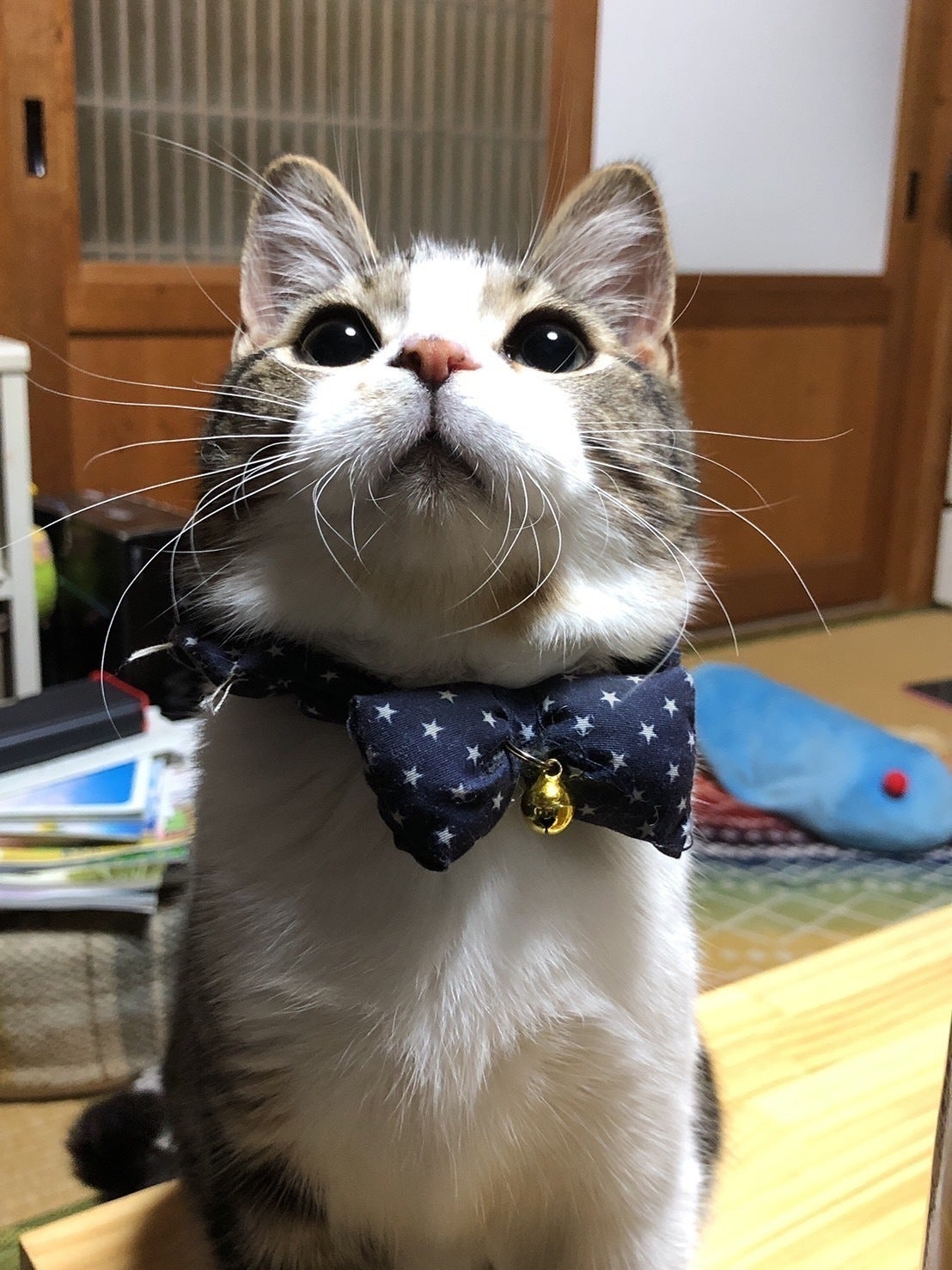 5番目のメイン画像