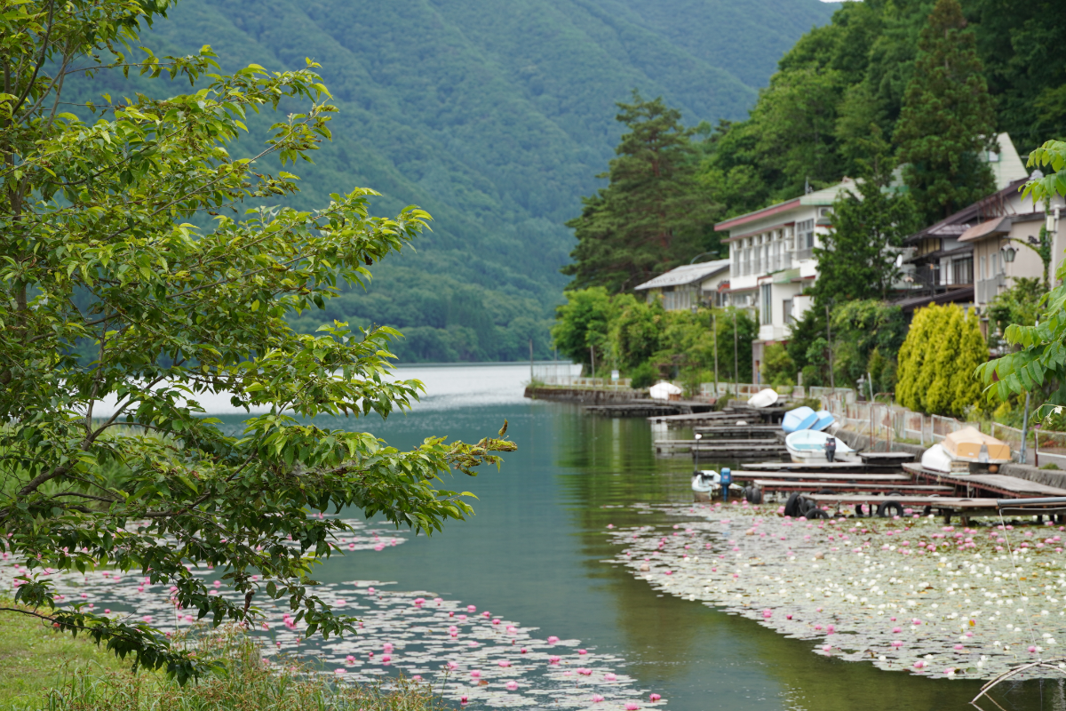 5番目のメイン画像