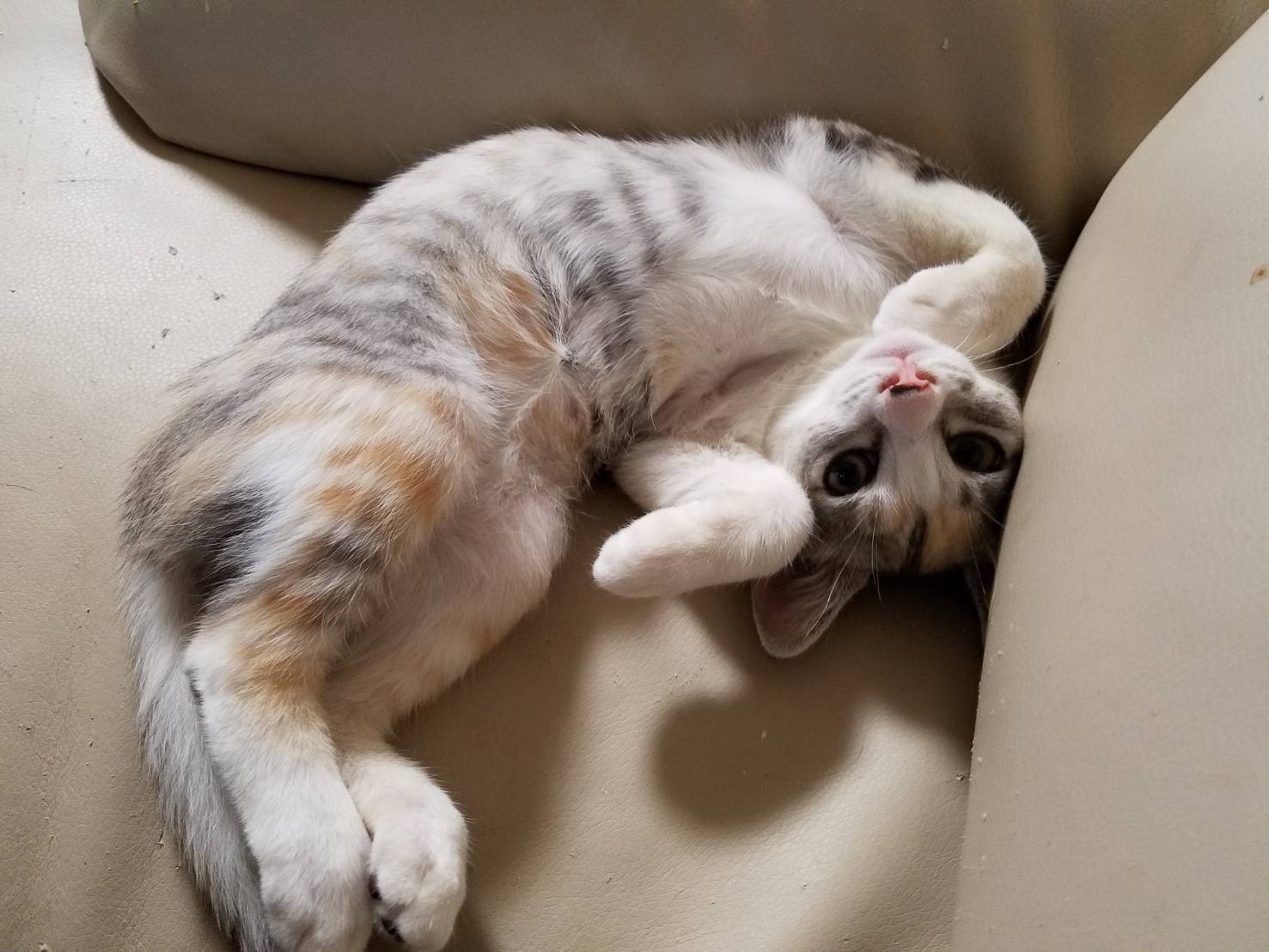 4番目のメイン画像