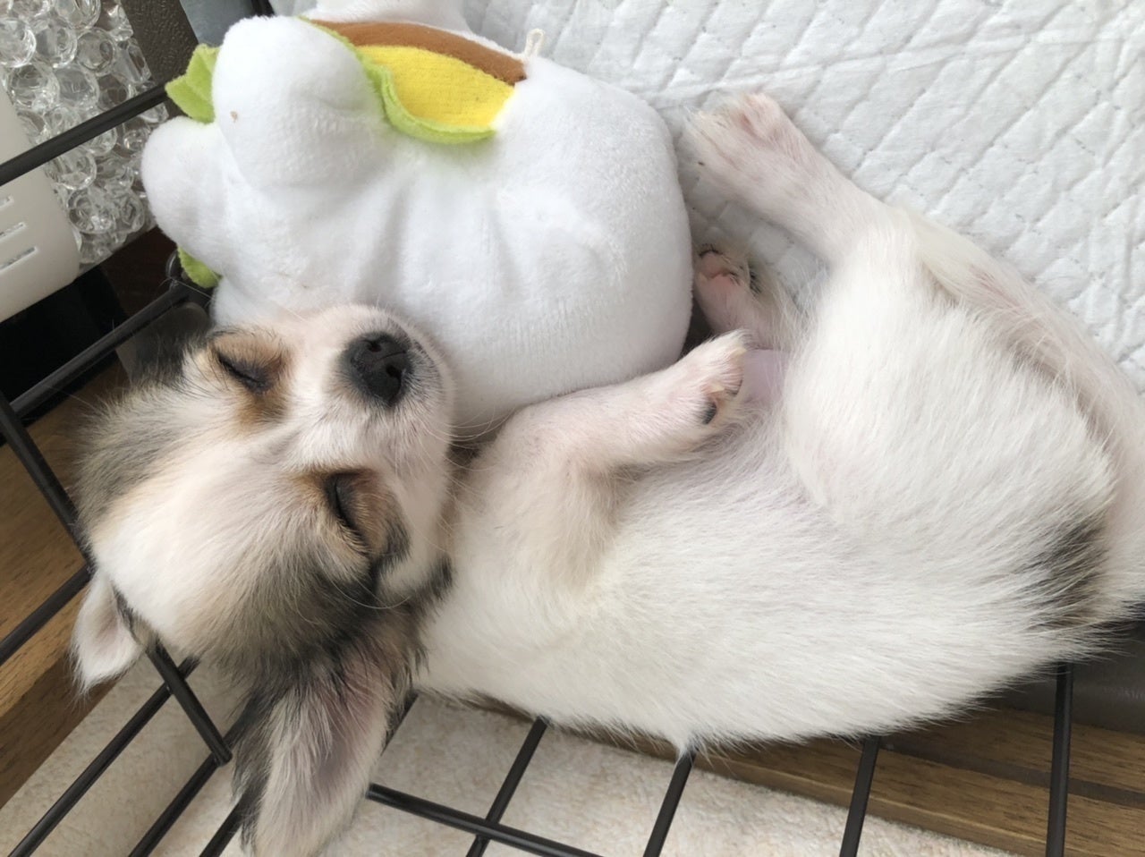 3番目のメイン画像