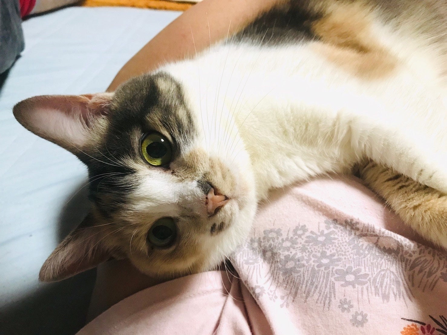 5番目のメイン画像