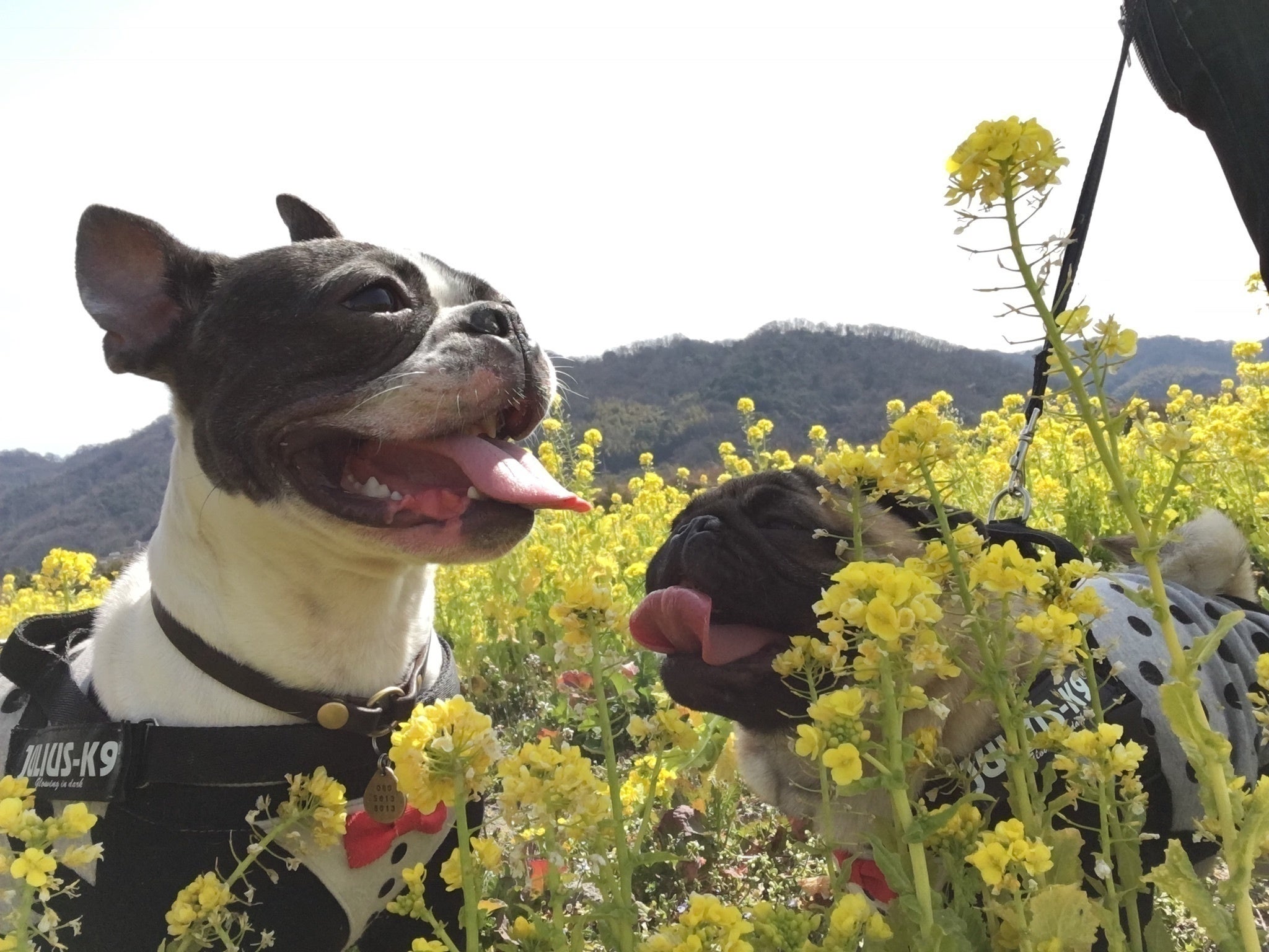 4番目のメイン画像