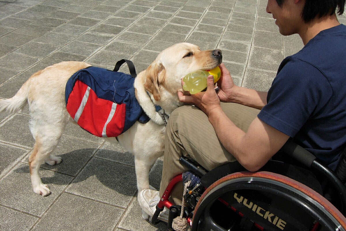 4番目のメイン画像