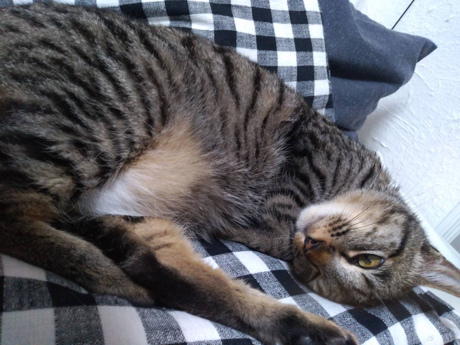 3番目のメイン画像